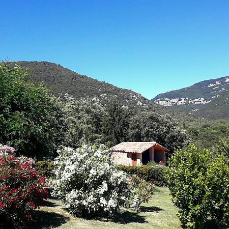 Can Pedragos Sales de Llierca Exteriér fotografie