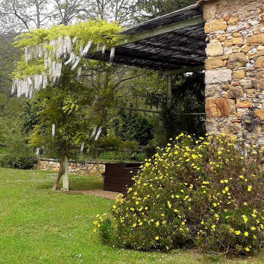 Can Pedragos Sales de Llierca Exteriér fotografie