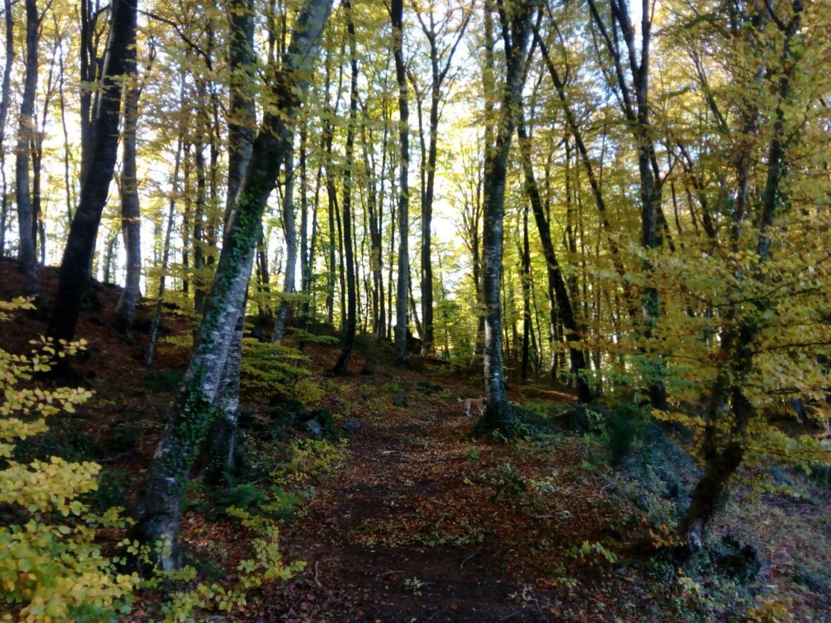 Can Pedragos Sales de Llierca Exteriér fotografie