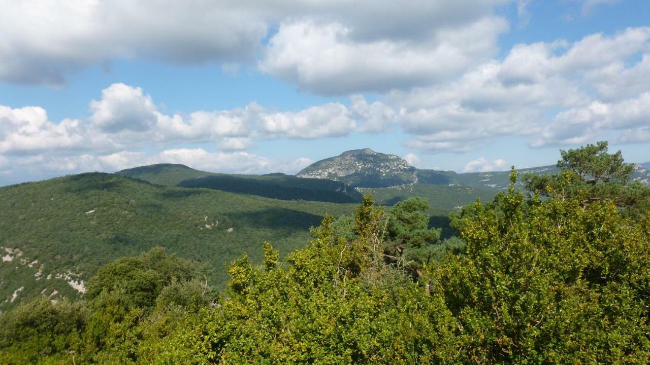 Can Pedragos Sales de Llierca Exteriér fotografie
